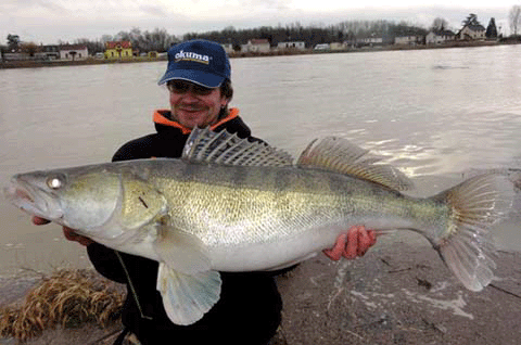 big zander 1.gif